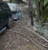 IMG_8728.jpeg