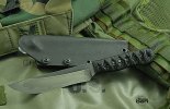 BurchtreeBowie3.jpg