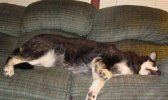 MALLEY CHILLEN.jpg