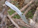 Spyderco Military Frame Lock by STR 004.jpg