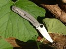 Spyderco Military Frame Lock by STR 008.jpg