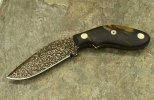 K-TUSK-Kauri1.jpg
