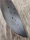 Drop point Hunter5.jpg