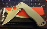 spydie.jpg