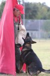 Bark&Hold.jpg