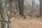 IMG_1271.jpeg
