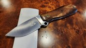 CS GW GiraffeBone Hollow Grnd 01a 20250304.jpg