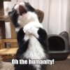 oh-the-humanity_png-3184319.jpeg