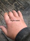 IMG_6142.jpeg