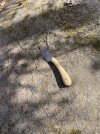 IMG_9218.jpeg