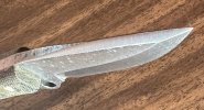 IMG_0658.jpeg