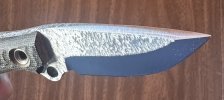 IMG_0660.jpeg