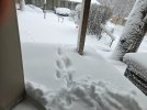 20250305_080738.jpg