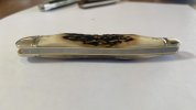 IMG_3299.jpeg
