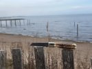 IMG_1284.jpeg