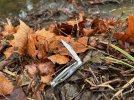 IMG_2230.jpeg