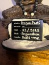 IMG_1220.jpeg