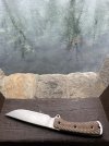 IMG_3339.jpeg