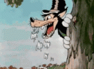 IMG_7733.gif