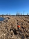 IMG_0879.jpeg