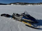 IMG_4478.jpg