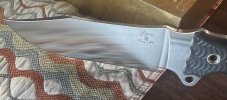 IMG_0703.jpeg