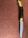 CaseXX Shark Tooth_4425.jpg