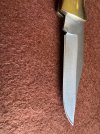 CaseXX Shark Tooth_4424.jpg