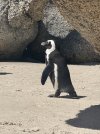 IMG_9032.jpeg