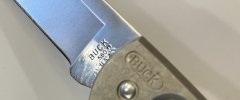 IMG_3343.jpeg