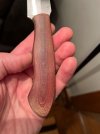 IMG_1878.jpeg