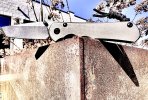 IMG_0323.jpeg