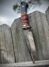IMG_5952.jpeg