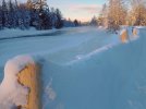 IMG_20250122_081618670~2.jpg