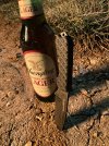 IMG_3025.jpeg