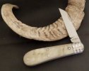 Cosimo De Bendetto Ramshorn Lambsfoot 6-3.JPG