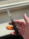IMG_8977.jpeg