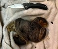 IMG_5839.jpeg