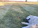 IMG_0960.jpeg