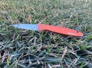 IMG_0962.jpeg