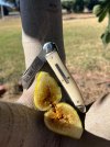 IMG_7834.jpeg