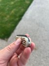 IMG_7837.jpeg