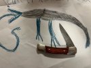 IMG_7847.jpeg