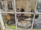 IMG_20250313_121617_MP.jpg