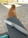 IMG_5041.jpeg