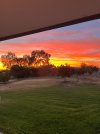 IMG_7850.jpeg