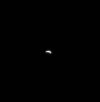 IMG_7819.jpeg