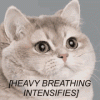 heavy-breathing-intensifies-2143484174.gif