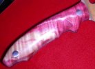 DSCN5632.jpg