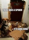 ImageUploadedByTapatalk1404772896.898154.jpg